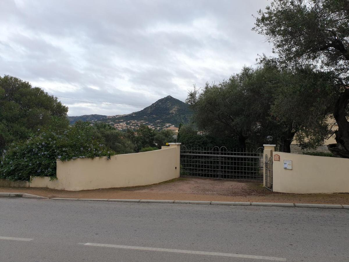 Villa Athena LʼÎle-Rousse Kültér fotó